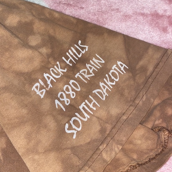 Vintage The Mountain Train Shirt - Picture 8 of 8